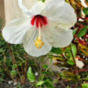 Meet your Posher, Valrie